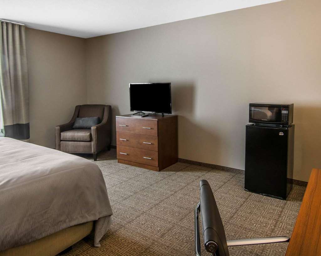 Comfort Inn South Chesterfield - Colonial Heights Ruang foto