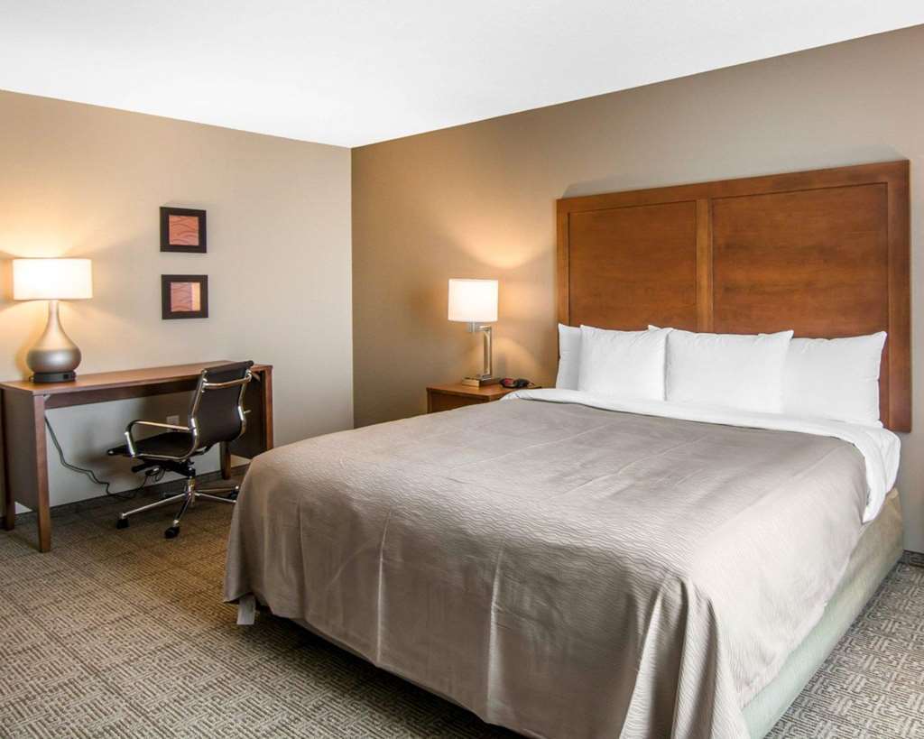 Comfort Inn South Chesterfield - Colonial Heights Ruang foto