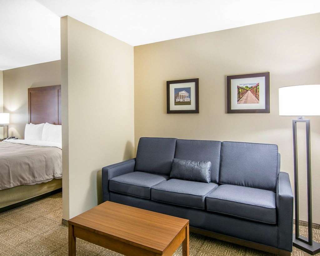 Comfort Inn South Chesterfield - Colonial Heights Ruang foto
