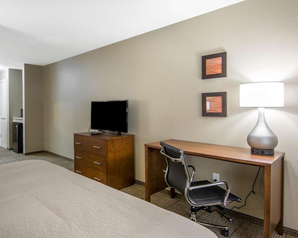 Comfort Inn South Chesterfield - Colonial Heights Ruang foto
